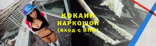дживик Богородицк