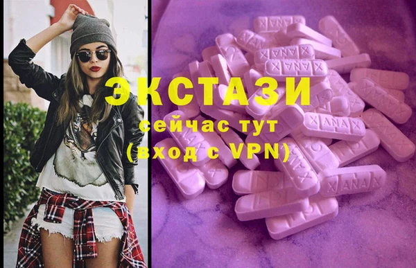 дживик Богородицк
