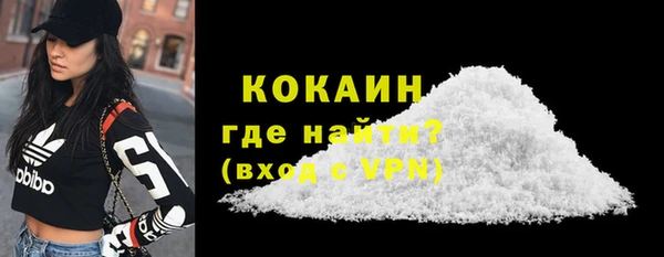 дживик Богородицк