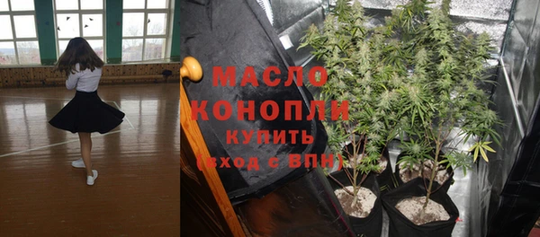 дживик Богородицк