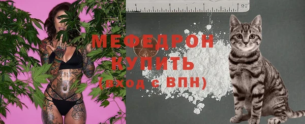 дживик Богородицк