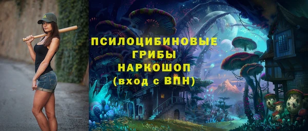 прущая мука Богородск